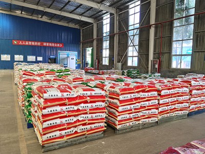 Bagaimana cara memilih premix secara wajar?