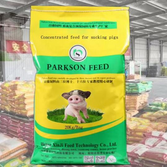 Makanan Babi Kucing